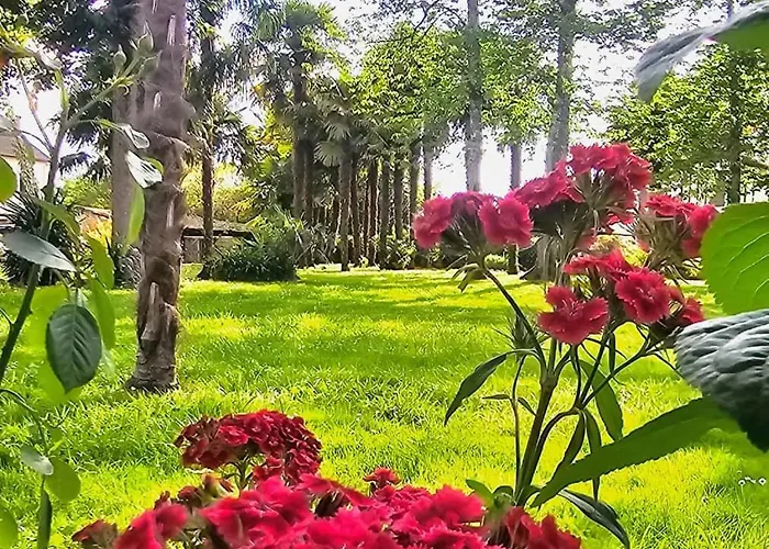 Chateau Arche D'aure 4*